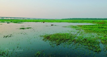 _DSC9968