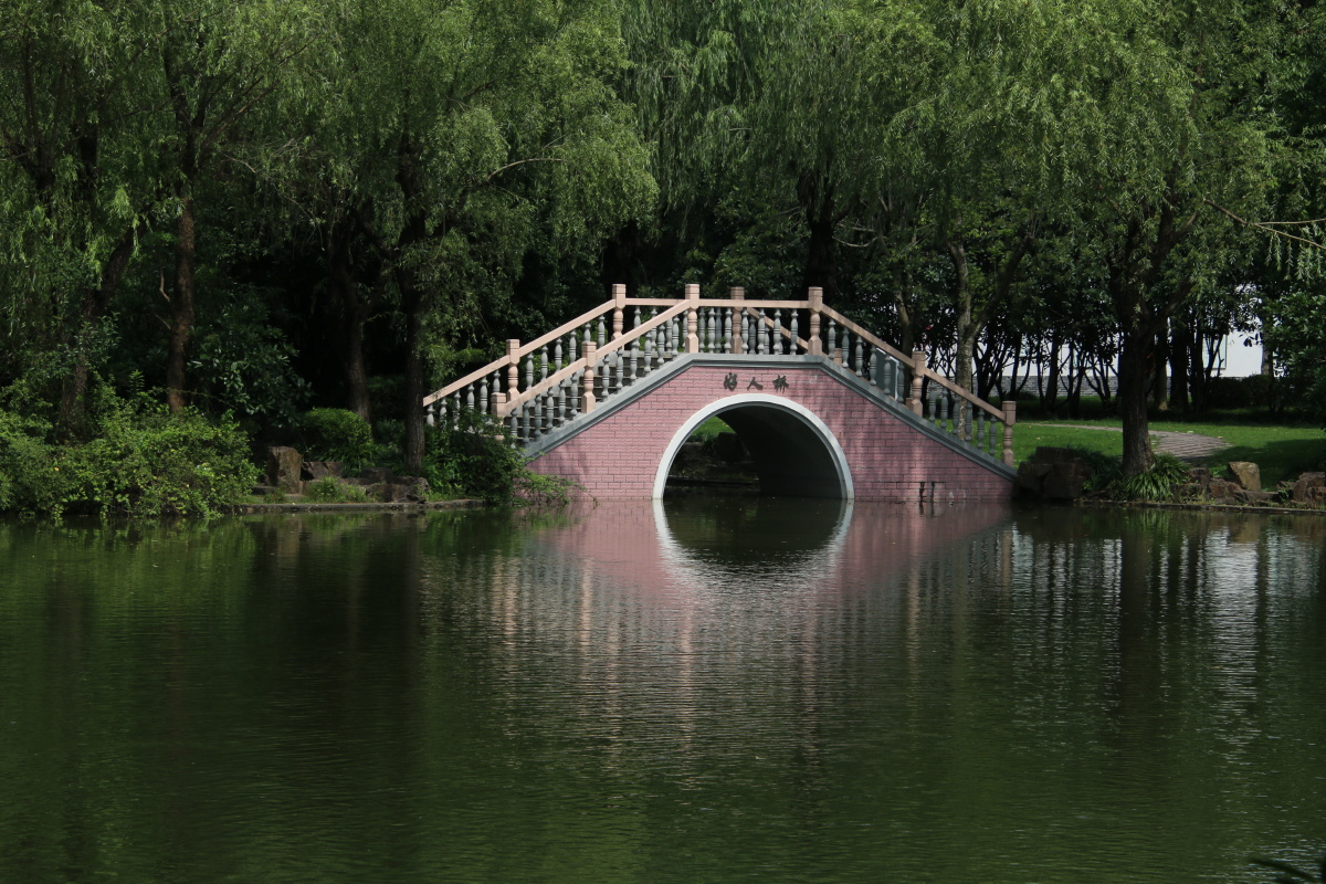 倒影拍摄于上海马陆公园