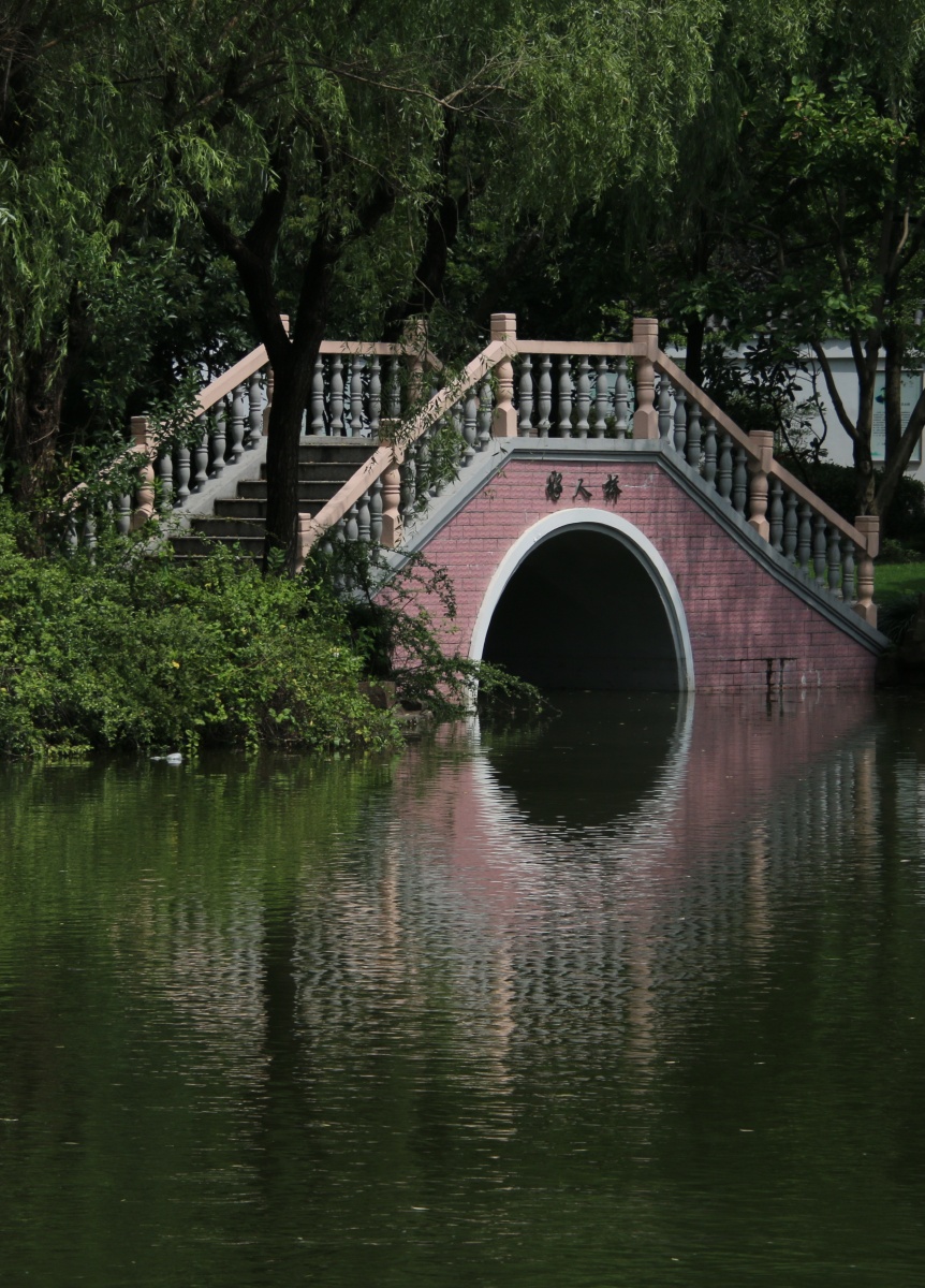 桥影拍摄于上海嘉定马陆公园