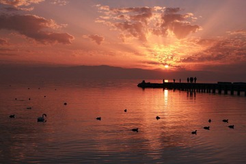 IMG_0578.jpg