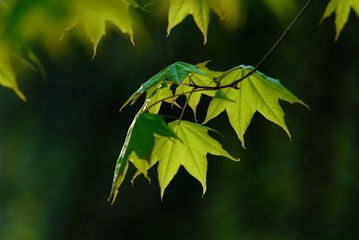 F87F666B-0EA2-4382-AB06-85FC94F6611A/L0/001