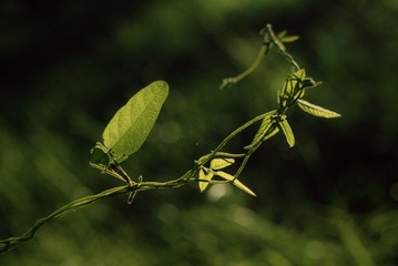 53F0E3A7-F6B7-4556-AAE2-3B27C159C5F3/L0/001
