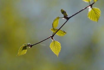 108CD0D2-72BF-4EF5-9A5A-C078A9B2AFF1/L0/001