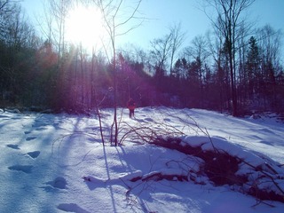 雪2