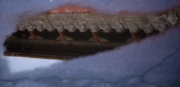 _DSC5555