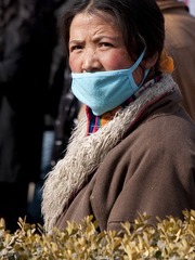 _DSC8720