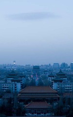 _DSC9229
