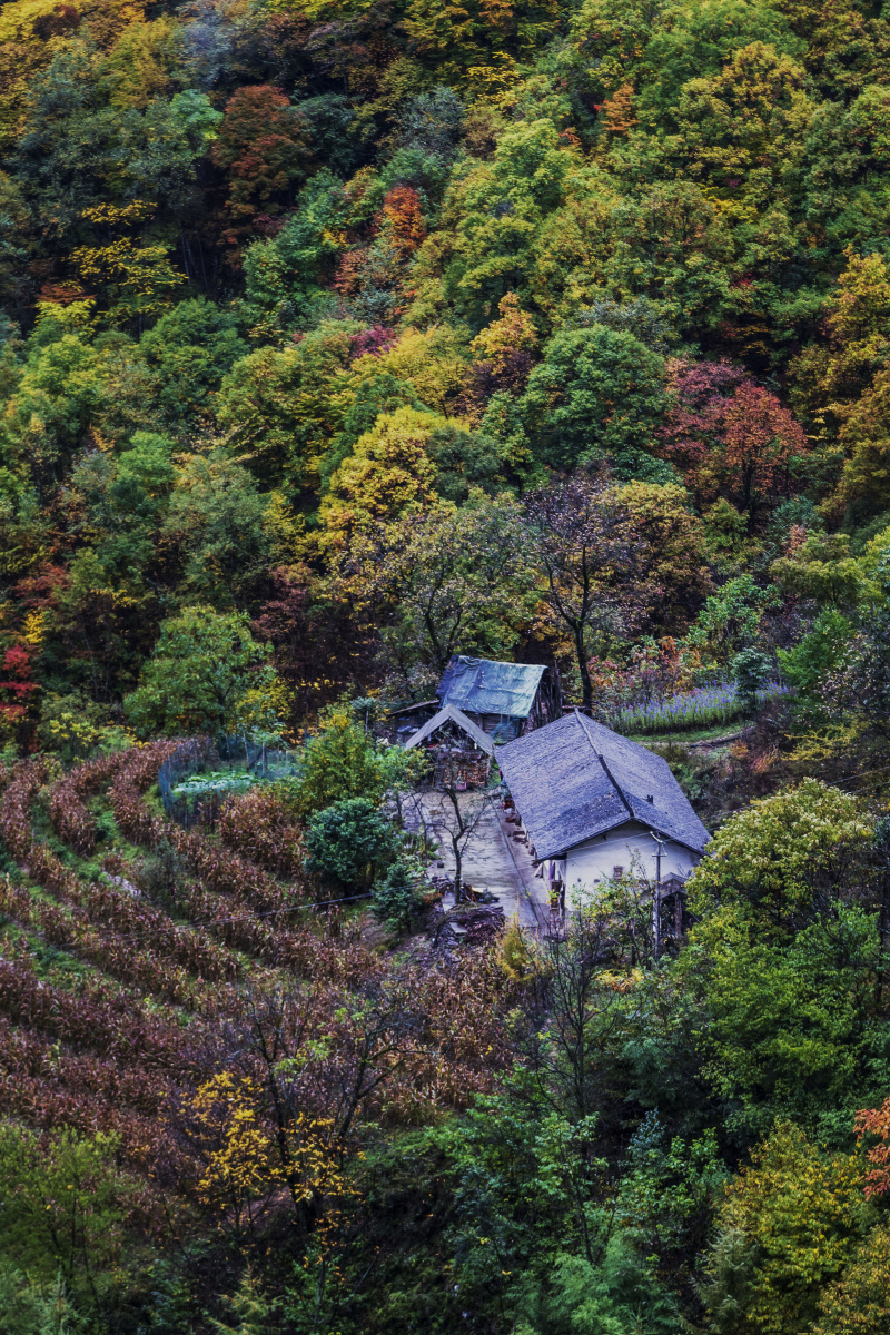 山里人家2016年10月23日拍于神农架