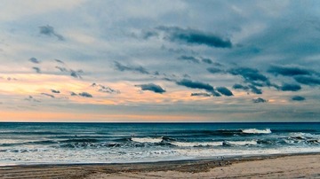DSCF0135
