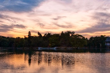 DSC_0989