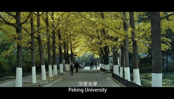 yy版此间剧照