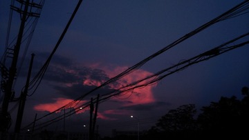 1208116