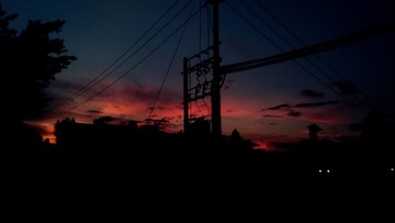 1208118