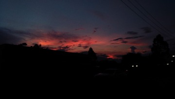 1208117