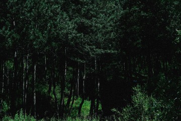 9F655C1F-80FA-417F-ADBB-6D4B7B9E82F7/L0/001
