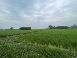 AB37271F-FC41-463A-AC60-385C4EF5D3B5/L0/001