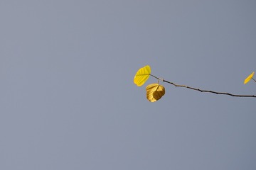 F71EA010-5F16-4075-8C09-88BFA8F1570C/L0/001