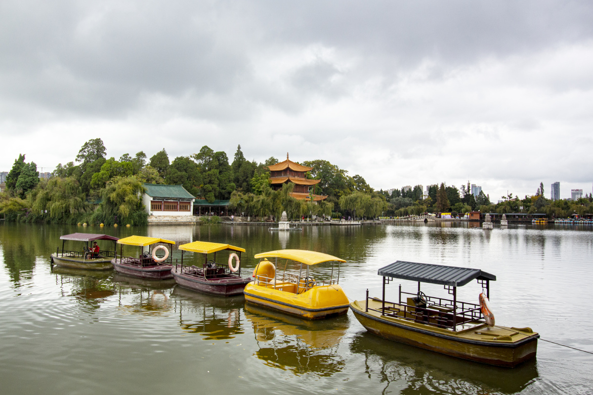 大观公园的清晨