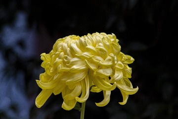 61057
