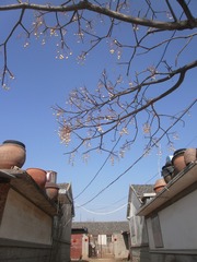 5FA3AE94-1F9E-433E-8481-A67F0D151A6A/L0/001