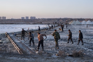 IMG_6982_1