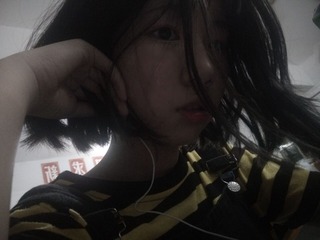 1208115