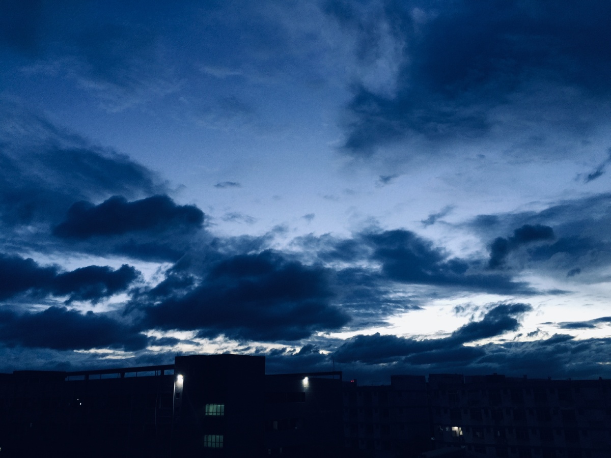 如鲸向海 - 素笺浅墨 - 图虫