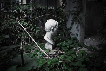 P8134556-2