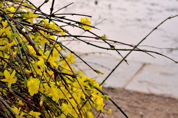 1.pic_hd