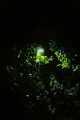 2AB9E782-DA67-4C0C-BA4E-1D028335C024/L0/001