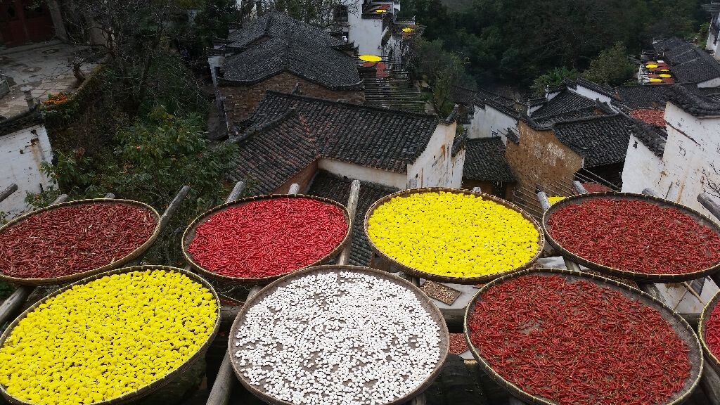 桂林市内有什么好吃好玩的地方,从桂林到阳朔的旅游攻略