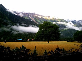 2011-07-22 08.46.33_