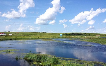 20130810_140235_