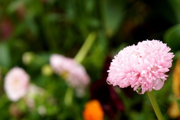 DSC00001_