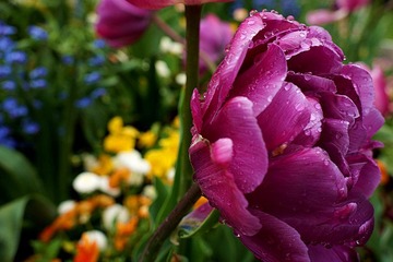 DSC00006_