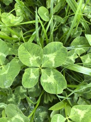 20140503_084740_
