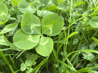 20140503_094118_