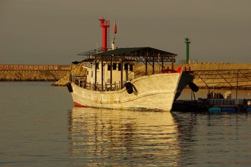 复件 DSC09945