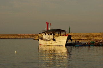 复件 DSC09946
