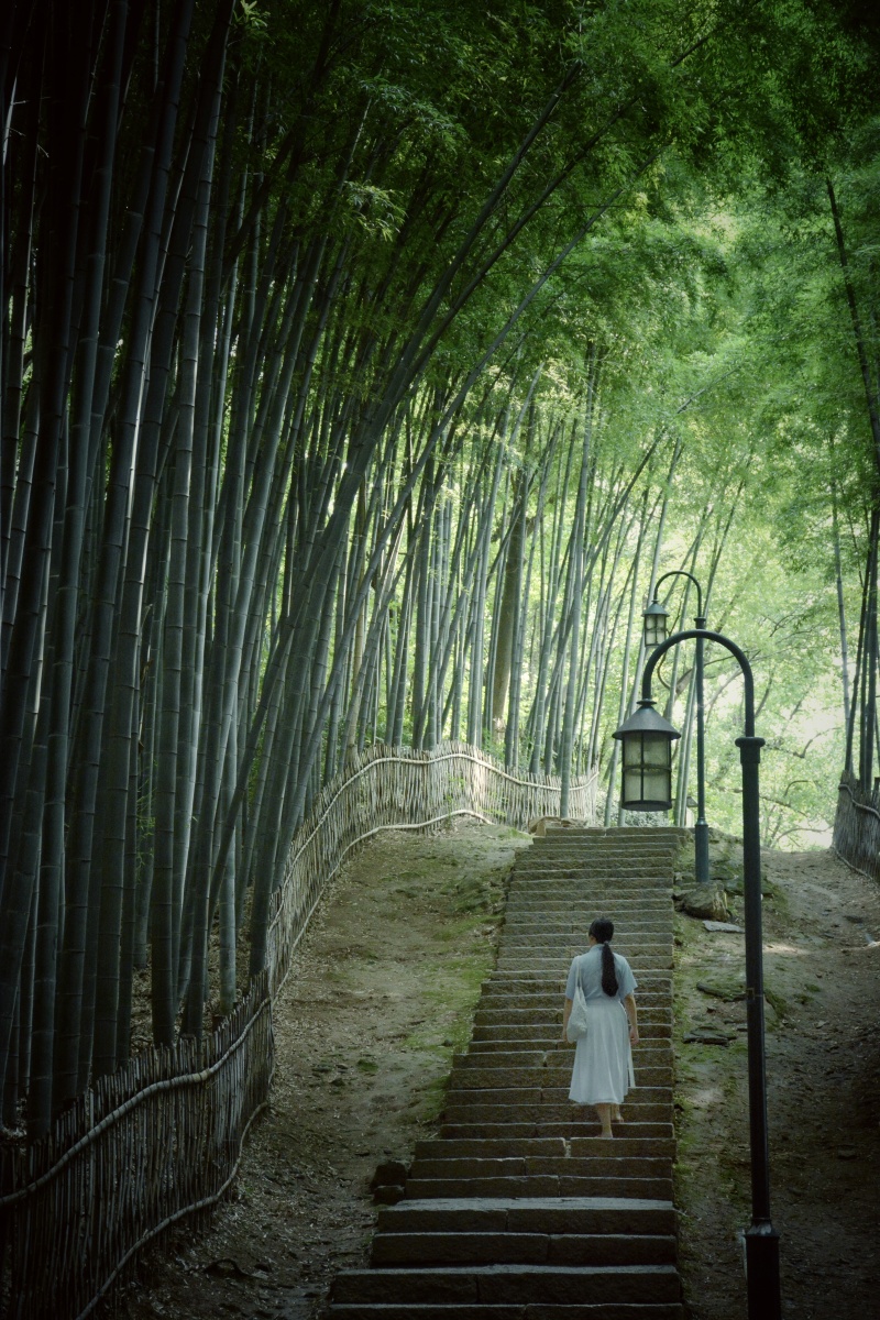 杭州幽静的竹林位于宝石山