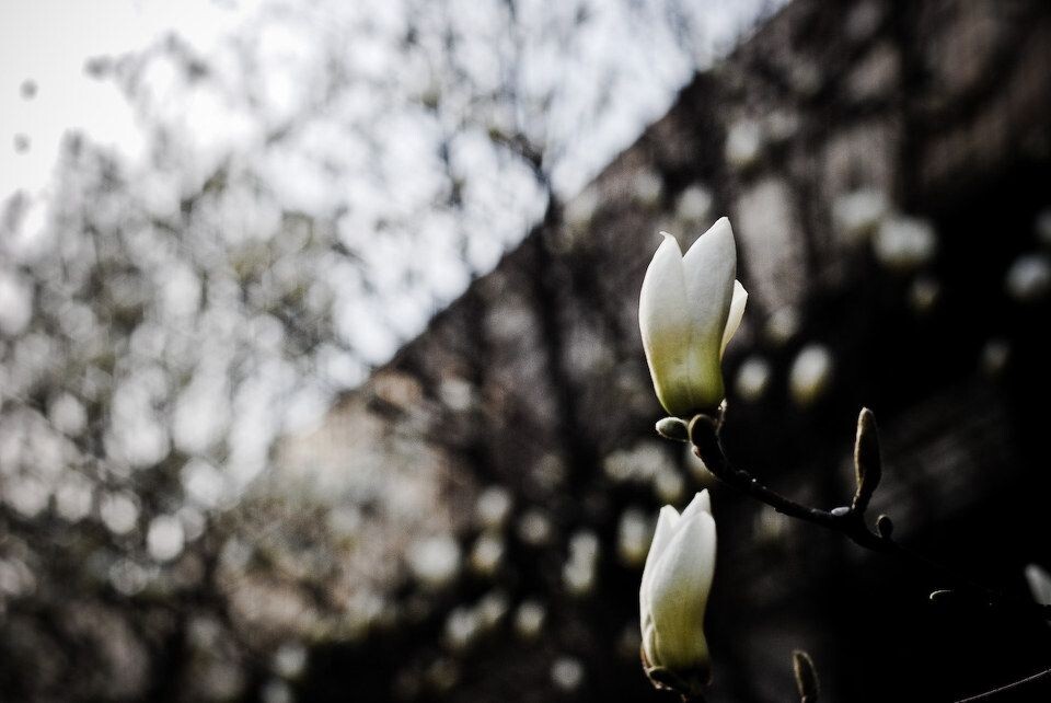 DSC_5800<br />
