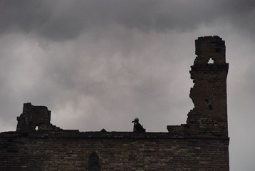 DSC_7949