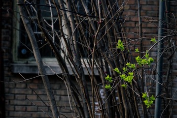 DSC_5880