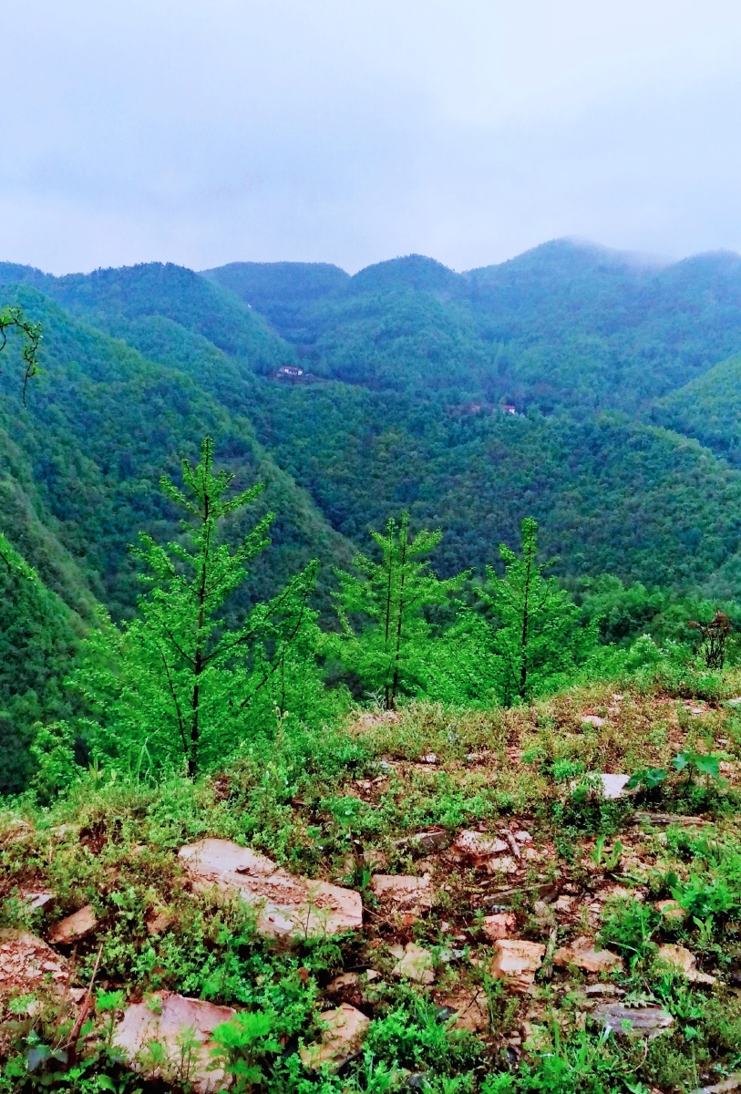 高山流水大山深处自然风景随拍78张