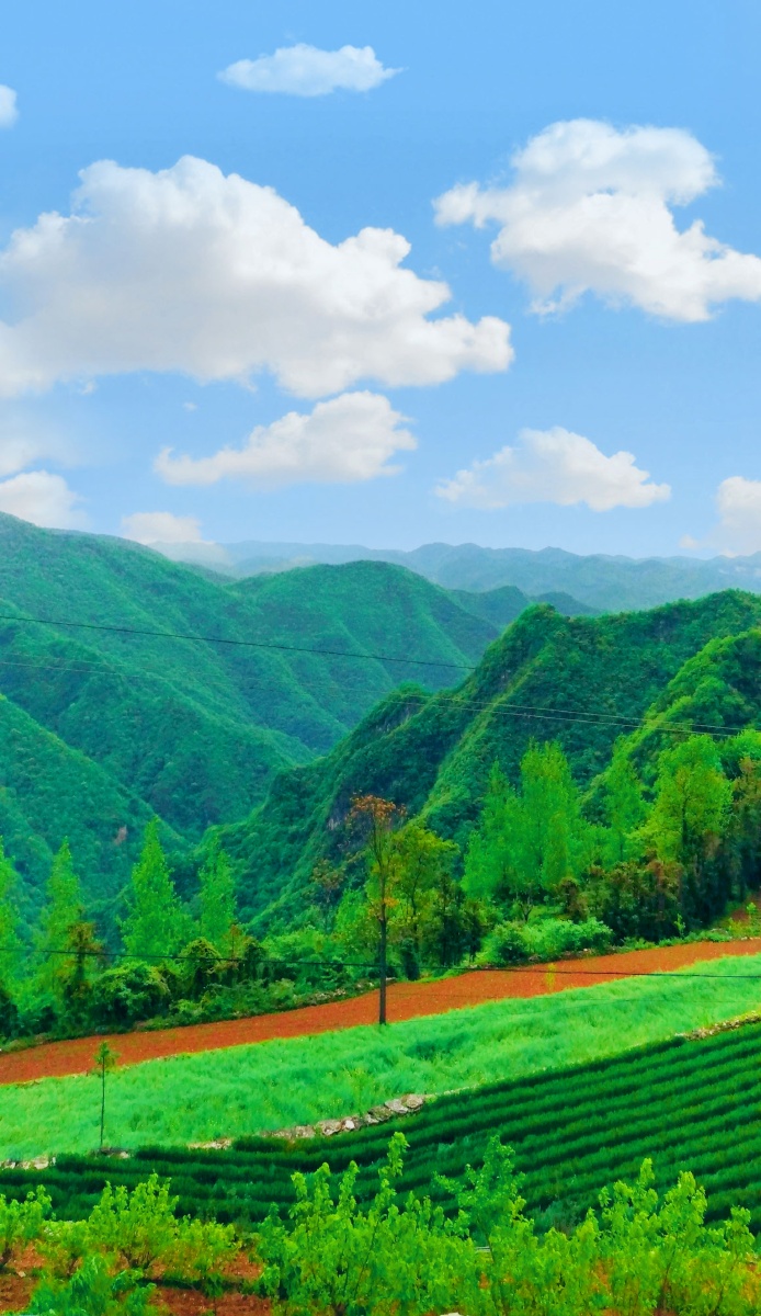 高山流水大山深处自然风景随拍78张