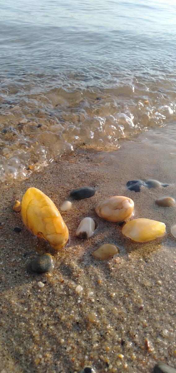 沙滩上可爱的石头