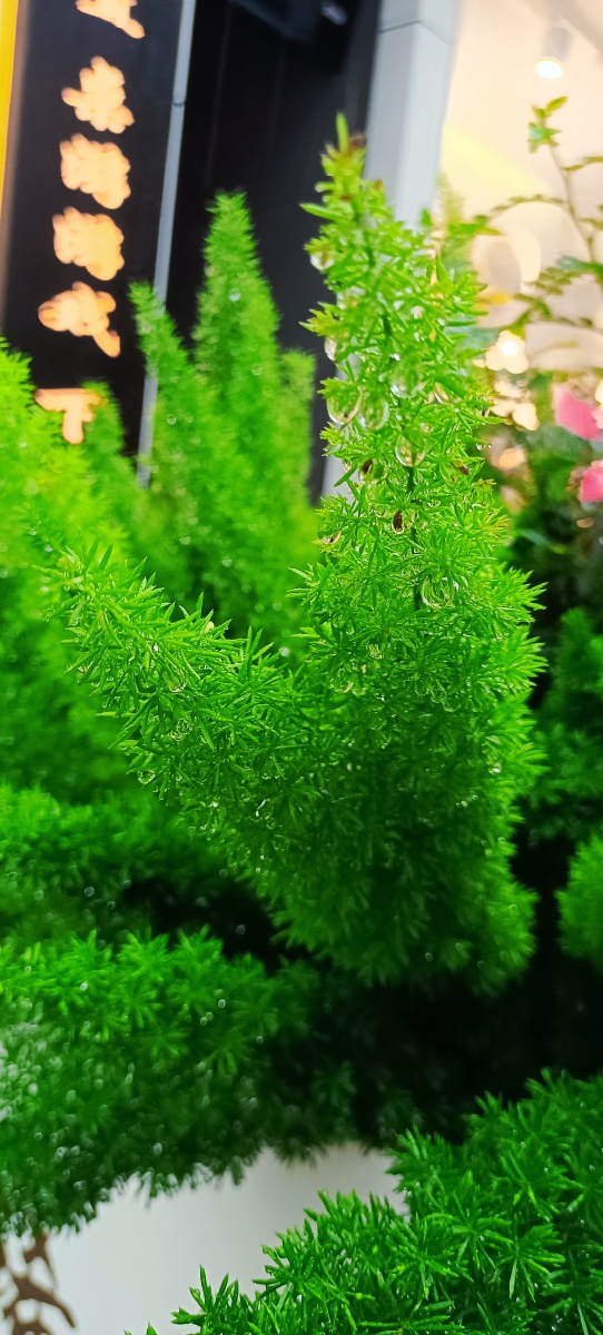 空山新雨后,天气晚来秋 - 深谷-幽兰 - 图虫