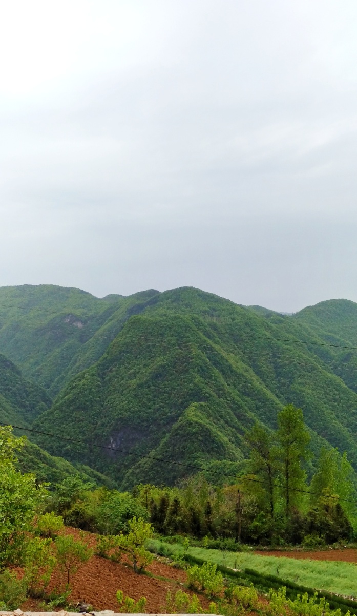 高山流水大山深处自然风景随拍78张