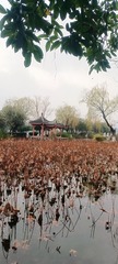 1000034384