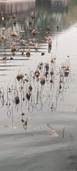 1000034405